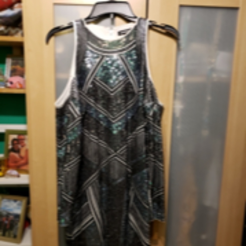 Express Dress - Picture 1 of 1